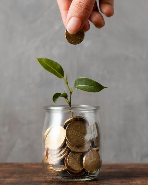 College Fund